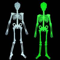  Светонакопитель скелет средний 60 см 